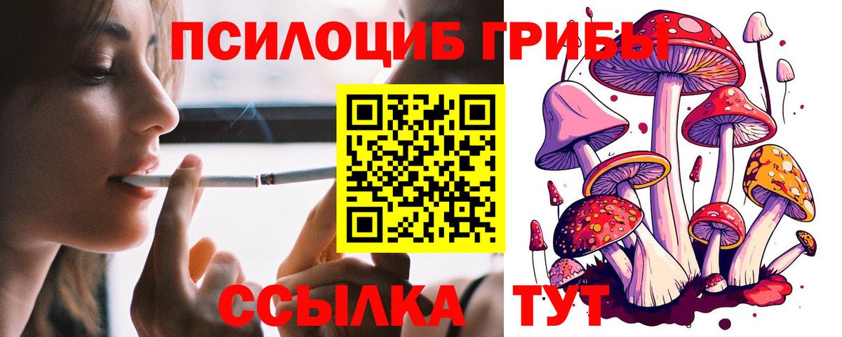 Миллерово  Псилоцибиновые грибы MAGIC MUSHROOMS  Вход с VPN 
